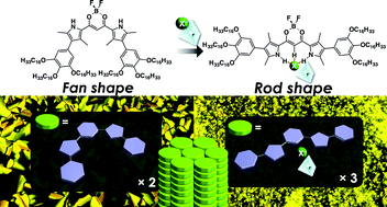 Graphical abstract: Dimension-controlled assemblies of anion-responsive π-electronic systems bearing aryl substituents with fan-shaped geometries