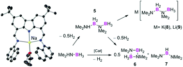 Graphical abstract: Dehydrogenation of dimethylamine-borane mediated by Group 1 pincer complexes