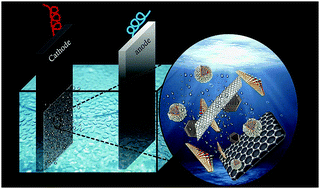 Graphical abstract: Nanocatalysts for hydrogen evolution reactions