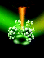 Graphical abstract: Mastering high resolution tip-enhanced Raman spectroscopy: towards a shift of perception