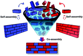 Graphical abstract: Minimalistic peptide supramolecular co-assembly: expanding the conformational space for nanotechnology