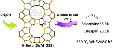 Graphical abstract: Investigation of methanol conversion over high-Si beta zeolites and the reaction mechanism of their high propene selectivity