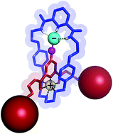 Graphical abstract: Copper(ii)-directed synthesis of neutral heteroditopic [2]rotaxane ion-pair host systems incorporating hydrogen and halogen bonding anion binding cavities