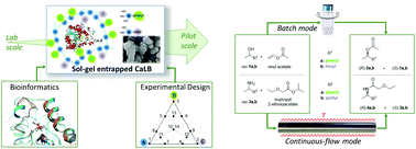 Graphical abstract: Immobilization engineering – How to design advanced sol–gel systems for biocatalysis?