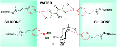 Graphical abstract: Controlling silicone-saccharide interfaces: greening silicones