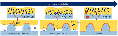 Graphical abstract: Surface characteristics influencing bacterial adhesion to polymeric substrates