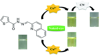 Graphical abstract: A single colorimetric sensor for multiple targets: the sequential detection of Co2+ and cyanide and the selective detection of Cu2+ in aqueous solution
