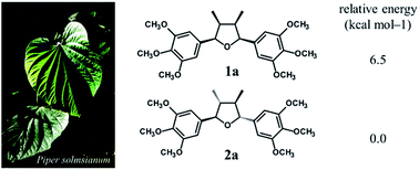 Graphical abstract: Configuration and stability of naturally occurring all-cis-tetrahydrofuran lignans from Piper solmsianum