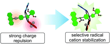 Graphical abstract: Impact of mechanical bonding on the redox-switching of tetrathiafulvalene in crown ether–ammonium [2]rotaxanes