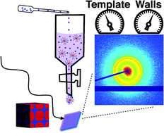 Graphical abstract: How to make persistent micelle templates in 24 hours and know it using X-ray scattering