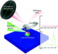 Graphical abstract: Lab on a tip: atomic force microscopy – photothermal infrared spectroscopy of atmospherically relevant organic/inorganic aerosol particles in the nanometer to micrometer size range