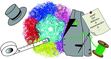 Graphical abstract: Tailoring lumazine synthase assemblies for bionanotechnology