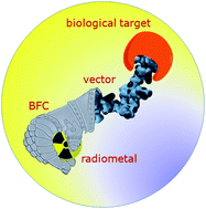 Graphical abstract: Bispidines for radiopharmaceuticals