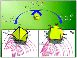 Graphical abstract: The slow magnetic relaxation regulated by the coordination, configuration and intermolecular dipolar field in two mononuclear DyIII single-molecule magnets (SMMs)