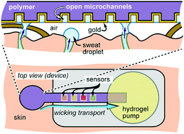 Graphical abstract: Open nanofluidic films with rapid transport and no analyte exchange for ultra-low sample volumes