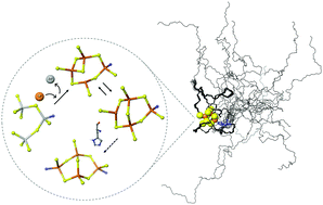 Graphical abstract: A histidine-rich Pseudomonas metallothionein with a disordered tail displays higher binding capacity for cadmium than zinc