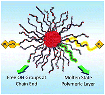 Graphical abstract: PU nanocomposites from bifunctional nanoparticles: impact of liquid interphase on mechanical properties