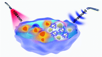 Graphical abstract: Titania-coated 2D gold nanoplates as nanoagents for synergistic photothermal/sonodynamic therapy in the second near-infrared window