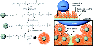 Graphical abstract: Silica-core perfluorinated polymer-shell composite nanoparticles for highly stable and efficient superhydrophobic surfaces