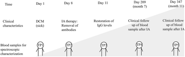 Graphical abstract: Vibrational spectroscopy as a powerful tool for follow-up immunoadsorption therapy treatment of dilated cardiomyopathy – a case report