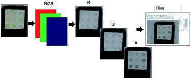 Graphical abstract: Determination of formaldehyde in cosmetic products using gas-diffusion microextraction coupled with a smartphone reader