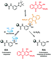 Graphical abstract: Reaction-based indicator displacement assay (RIA) for the development of a triggered release system capable of biofilm inhibition