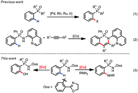 Graphical abstract: Copper mediated C(sp2)–H amination and hydroxylation of phosphinamides