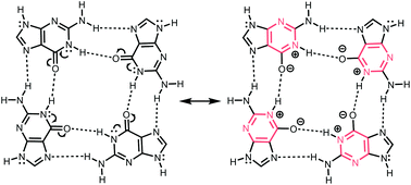 Graphical abstract: Self-assembling purine and pteridine quartets: how do π-conjugation patterns affect resonance-assisted hydrogen bonding?