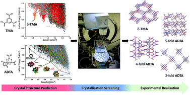 Graphical abstract: Mining predicted crystal structure landscapes with high throughput crystallisation: old molecules, new insights