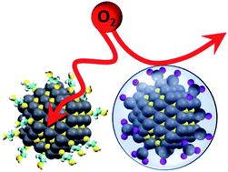 Graphical abstract: Ligand dependent oxidation dictates the performance evolution of high efficiency PbS quantum dot solar cells