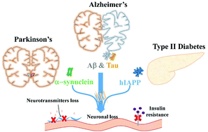 Graphical abstract: Fundamentals of cross-seeding of amyloid proteins: an introduction