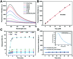 Graphical abstract: A dual-targeted CeO2–DNA nanosensor for real-time imaging of H2O2 to assess atherosclerotic plaque vulnerability