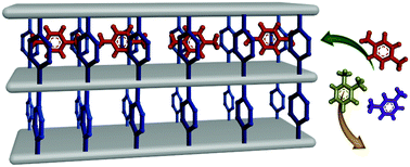 Graphical abstract: Control of local flexibility towards p-xylene sieving in Hofmann-type porous coordination polymers