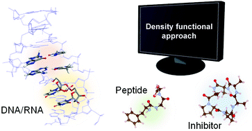 Graphical abstract: Establishing the accuracy of density functional approaches for the description of noncovalent interactions in biomolecules