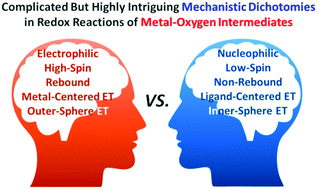 Graphical abstract: Mechanistic dichotomies in redox reactions of mononuclear metal–oxygen intermediates