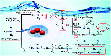 Graphical abstract: Degradation mechanisms of simple aliphatic amines under ozonation: a DFT study