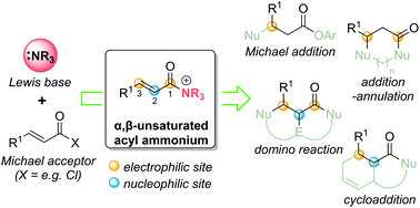 Graphical abstract: α,β-Unsaturated acyl ammonium species as reactive intermediates in organocatalysis: an update