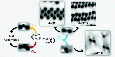 Graphical abstract: Surface-mediated ordering of pristine Salen molecules on coinage metals