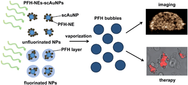 Graphical abstract: Laser activatable perfluorocarbon bubbles for imaging and therapy through enhanced absorption from coupled silica coated gold nanoparticles