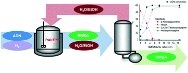 Graphical abstract: Economically-feasible production of a nylon monomer using RANEY® catalysts