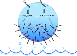 Graphical abstract: Insights into the behavior of nonanoic acid and its conjugate base at the air/water interface through a combined experimental and theoretical approach