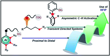 Graphical abstract: Hexafluoroisopropanol: the magical solvent for Pd-catalyzed C–H activation