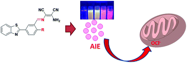 Graphical abstract: Aggregation-induced fluorescence probe for hypochlorite imaging in mitochondria of living cells and zebrafish