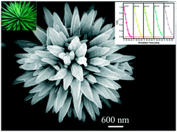 Graphical abstract: Sisal-like Sn2+ doped ZnO hierarchical structures: synthesis, growth mechanism, and their application in photocatalysis