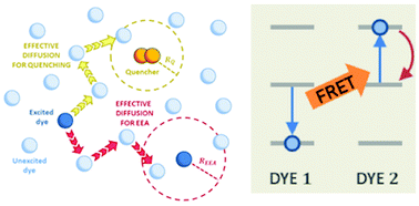 Graphical abstract: Modelling quenching mechanisms of disordered molecular systems in the presence of molecular aggregates