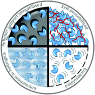 Graphical abstract: New frontiers in enzyme immobilisation: robust biocatalysts for a circular bio-based economy