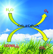 Graphical abstract: Promoting urea oxidation and water oxidation through interface construction on a CeO2@CoFe2O4 heterostructure