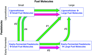 Graphical abstract: Toward low-cost biological and hybrid biological/catalytic conversion of cellulosic biomass to fuels