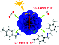 Graphical abstract: Photocatalytic carbon dioxide reduction coupled with benzylamine oxidation over Zn-Bi2WO6 microflowers