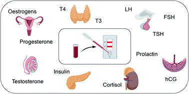 Graphical abstract: Lateral flow assays for hormone detection